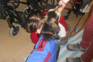 Terapia Assistida por Animais